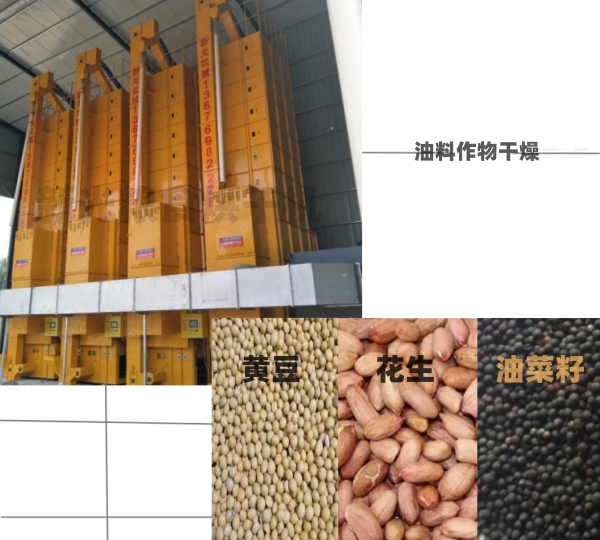 �¹�Zʳ��əC(j��)